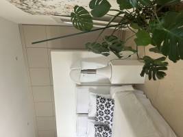 Léonore ROUX - Roux